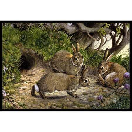 Jensendistributionservices Rabbits & the Rabbit Hole Indoor or Outdoor Mat, 24 x 36 MI2557301